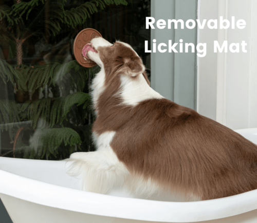 Lick Mat for Dogs | Slow Feeding Made Fun